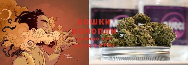 шишки Протвино