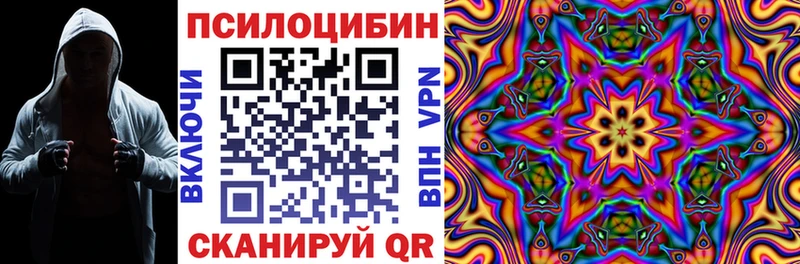 Галлюциногенные грибы MAGIC MUSHROOMS  Купить закладки  Саров 